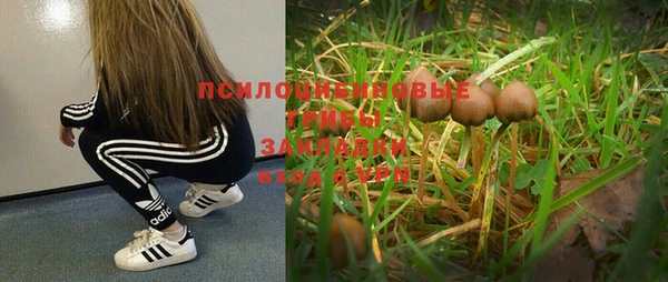 мескалин Алексеевка